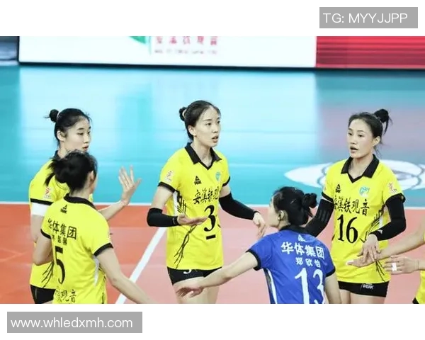 深圳排球队实力飙升再创新高引发全国关注与期待